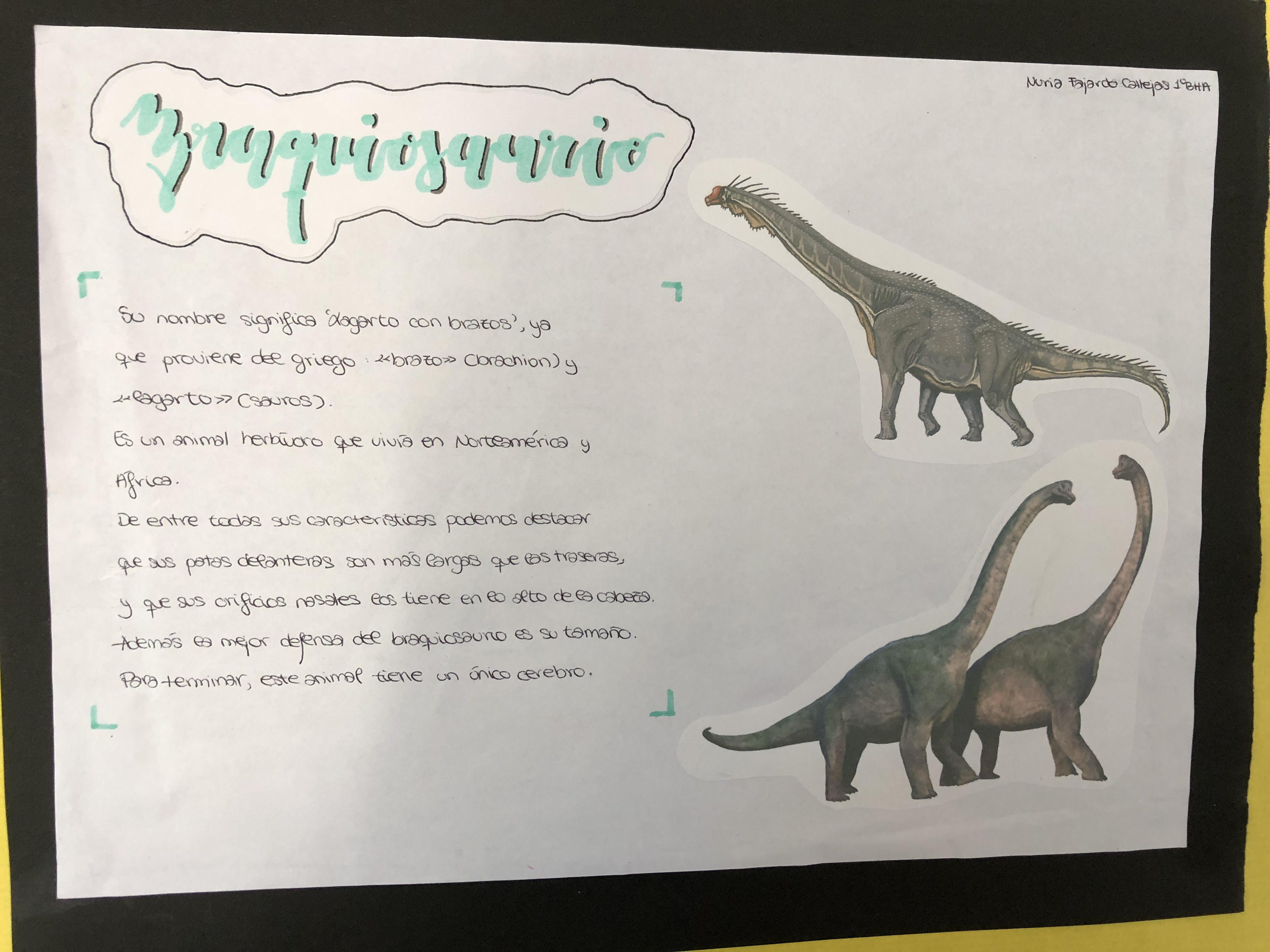 Las lenguas clásicas y los dinosaurios